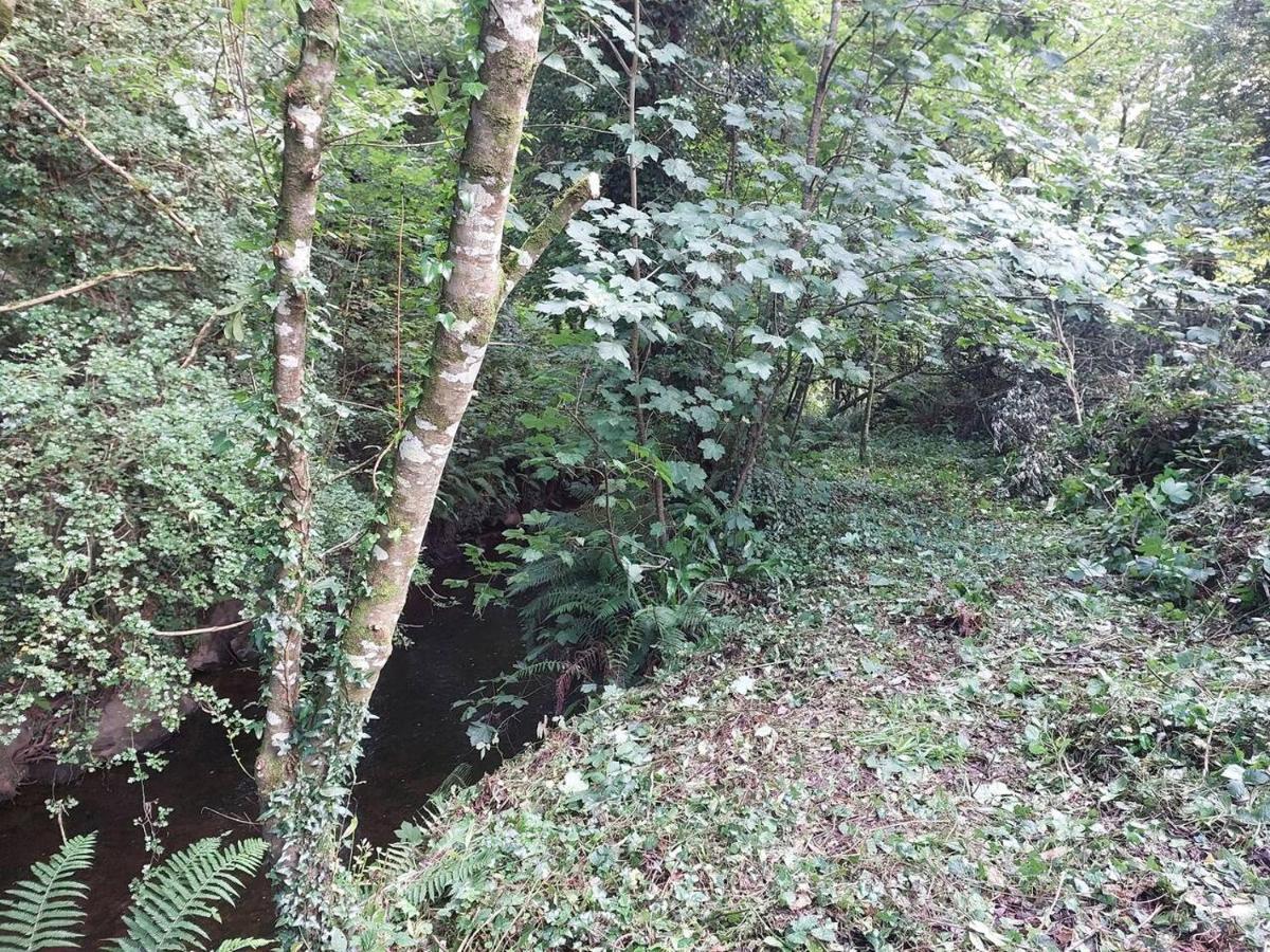 Home In Ennis Ngoại thất bức ảnh